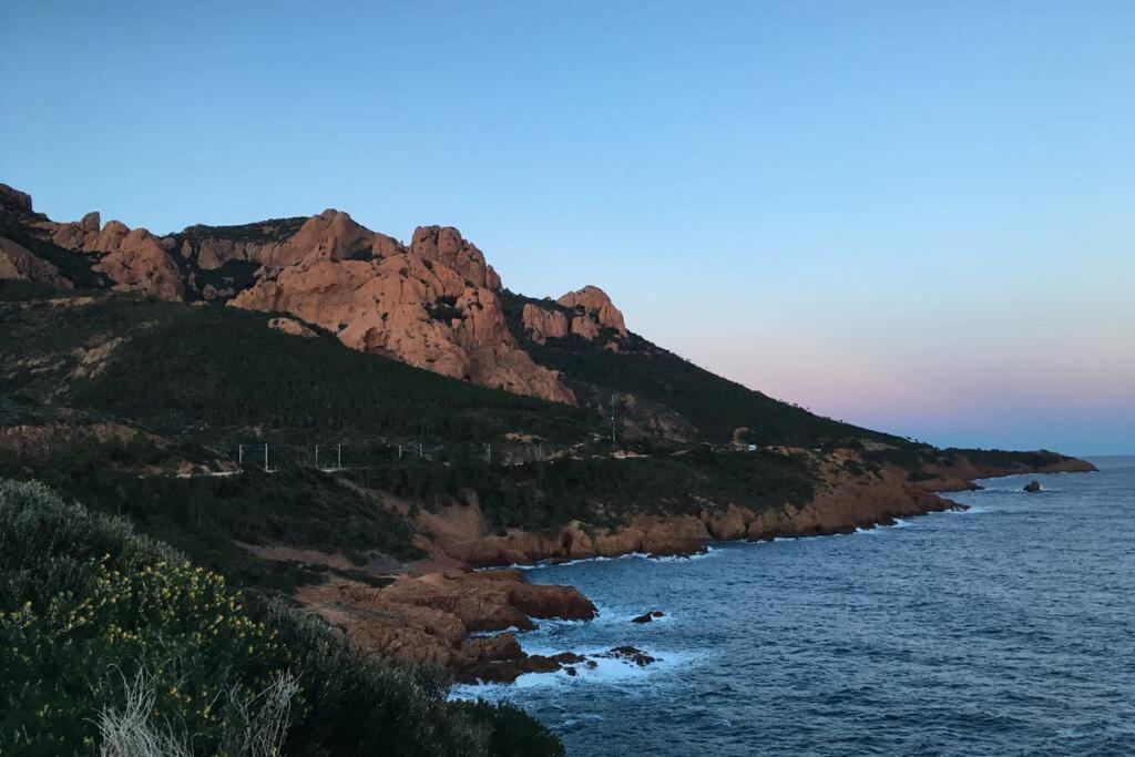 "Les Alizes" Cote Piscine Proche Bord De Mer Saint-Raphaël Екстериор снимка