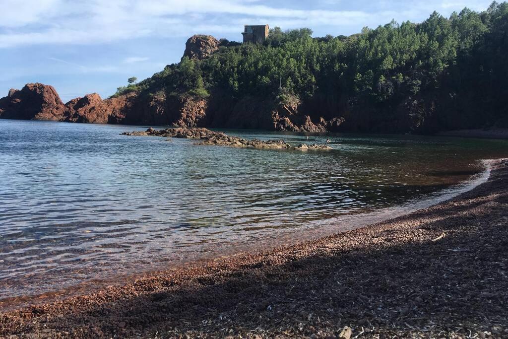 "Les Alizes" Cote Piscine Proche Bord De Mer Saint-Raphaël Екстериор снимка