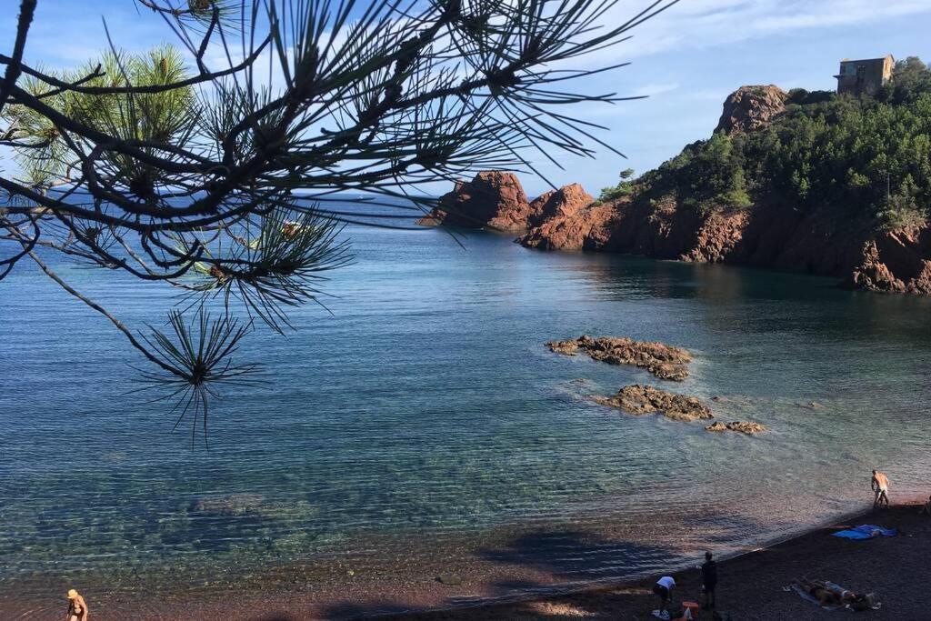 "Les Alizes" Cote Piscine Proche Bord De Mer Saint-Raphaël Екстериор снимка
