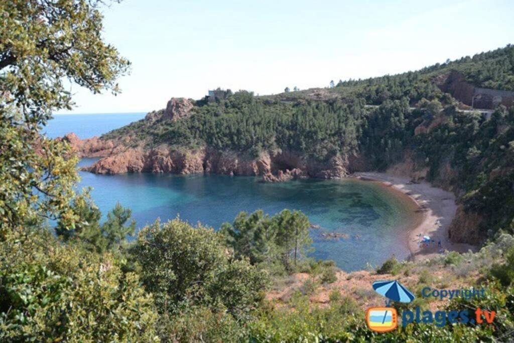 "Les Alizes" Cote Piscine Proche Bord De Mer Saint-Raphaël Екстериор снимка