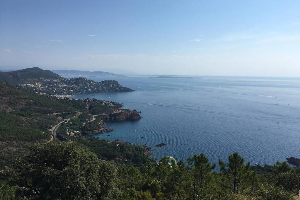 "Les Alizes" Cote Piscine Proche Bord De Mer Saint-Raphaël Екстериор снимка